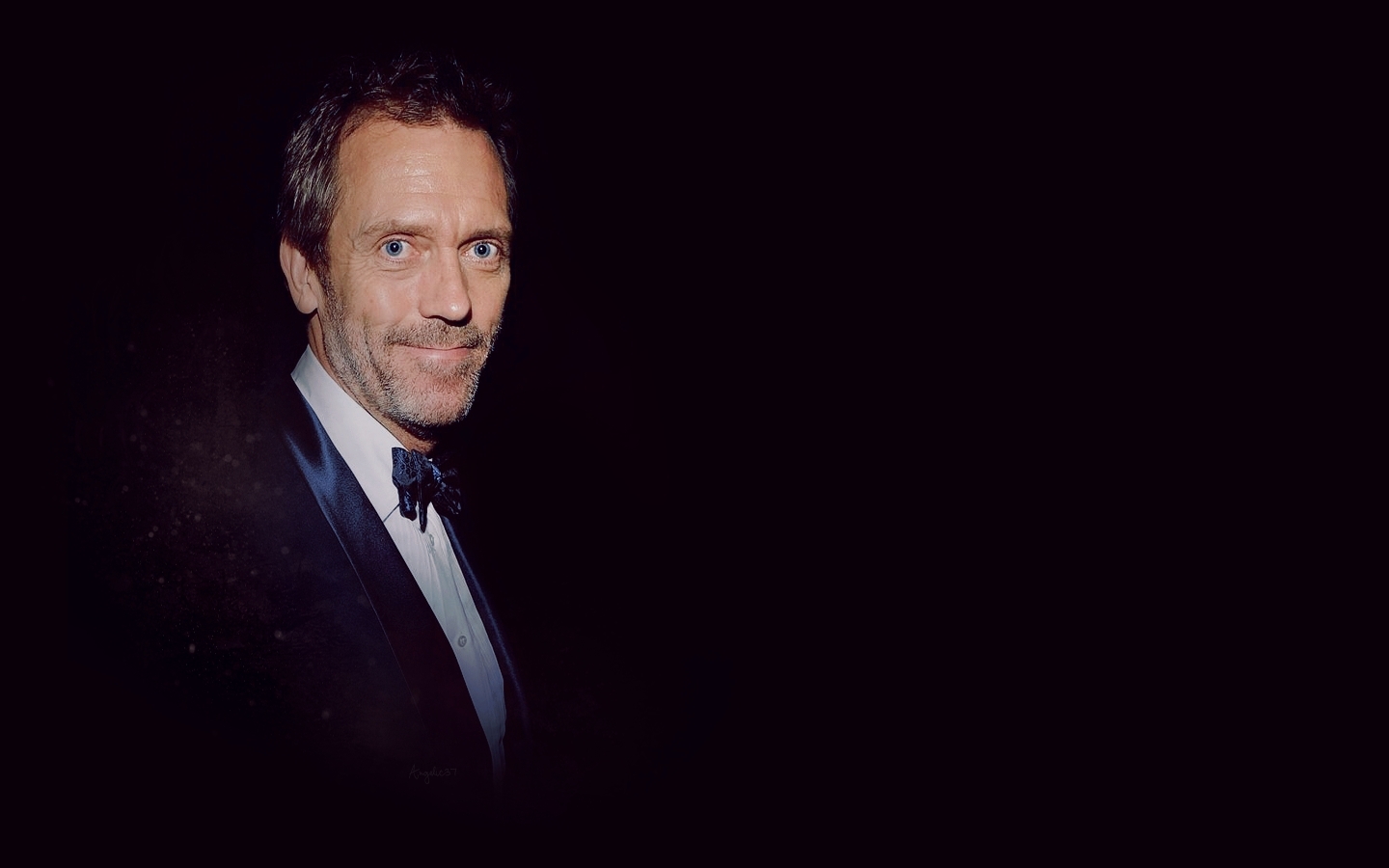 Hugh Laurie House Md
