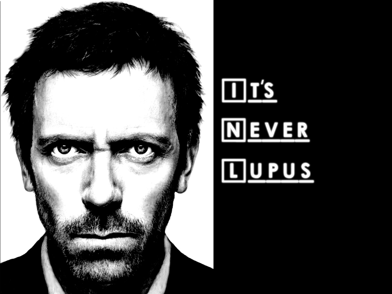 Hugh Laurie House Quotes