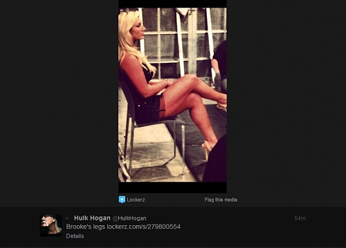 Hulk Hogan Daughter Tweet