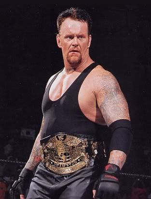Hulk Hogan Wwe Champion
