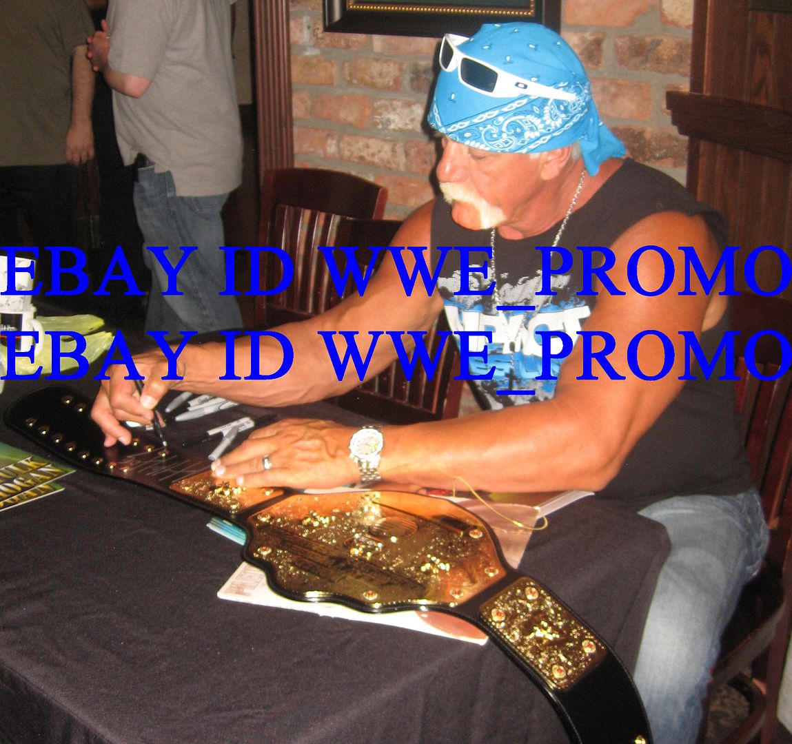 Hulk Hogan Wwe Champion