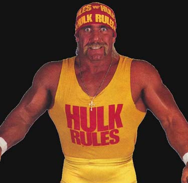 Hulk Hogan Wwe Champion