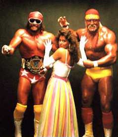 Hulk Hogan Wwe Champion