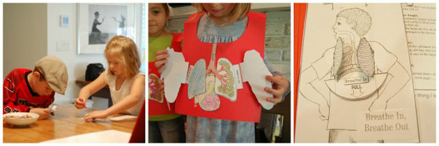 Human Body Anatomy Model Kids