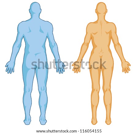 Human Body Outline