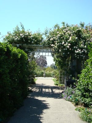 Huntington Library Tea Room Yelp