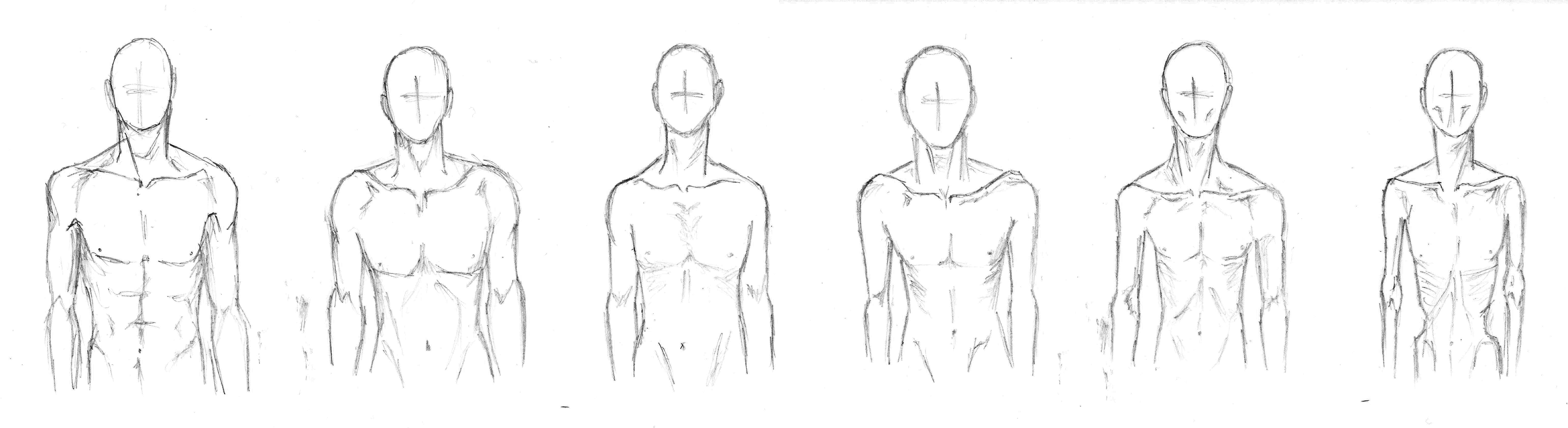Ideal Male Body Type