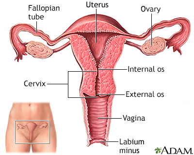 Identical Twins Pregnancy Problems