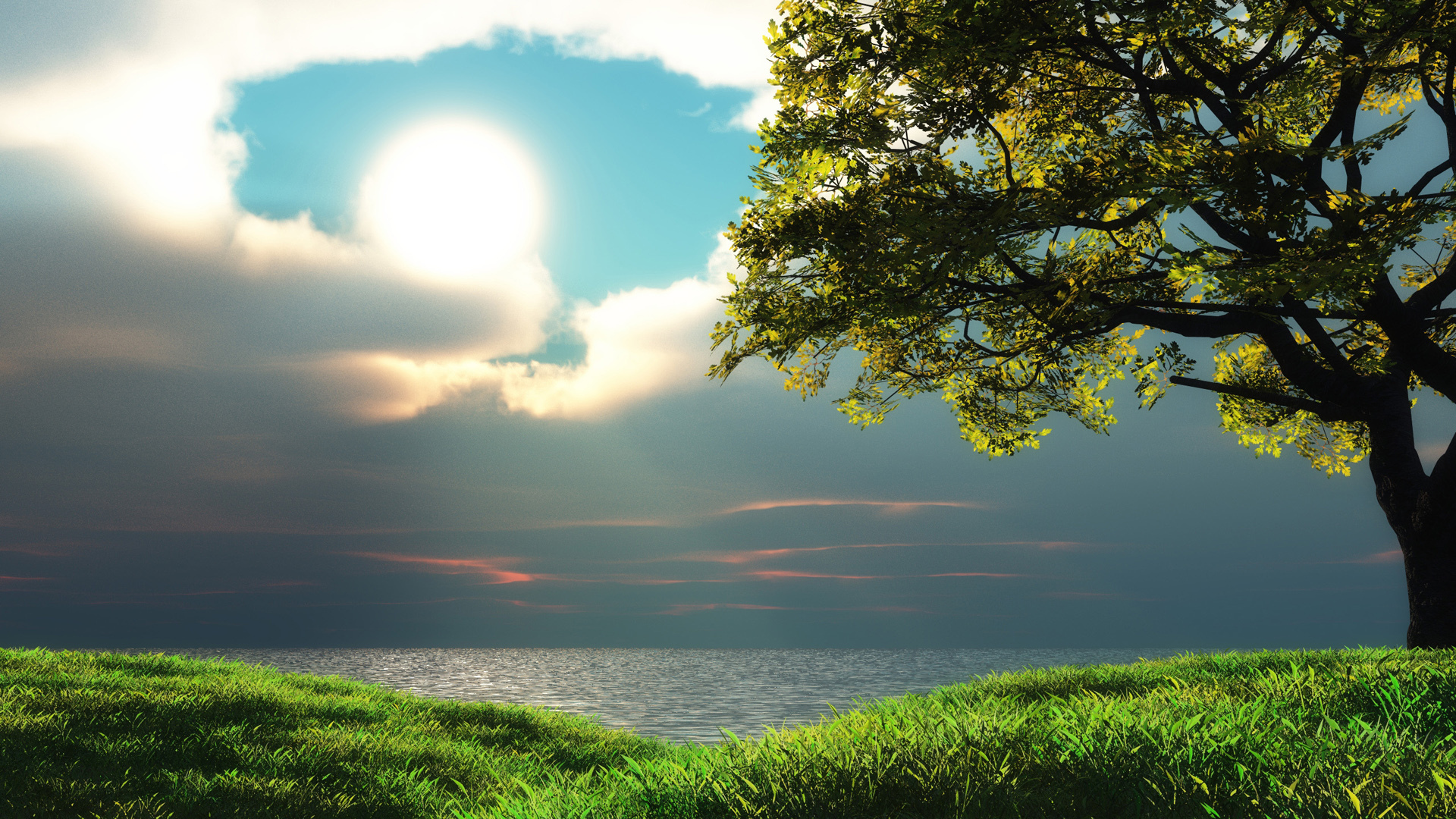 Images Of Nature In Hd