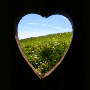 Images Of Nature Love