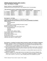 Investing Layer Of Deep Cervical Fascia