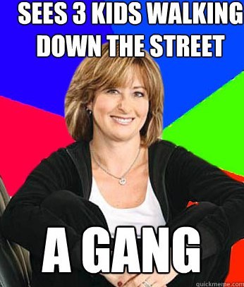 Irresponsible Mom Meme
