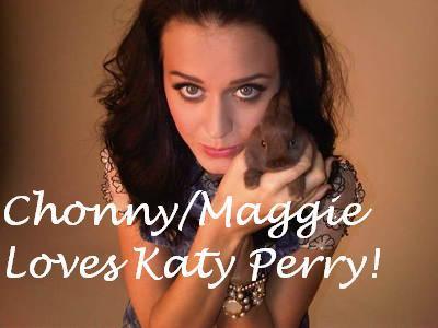 Katycaty