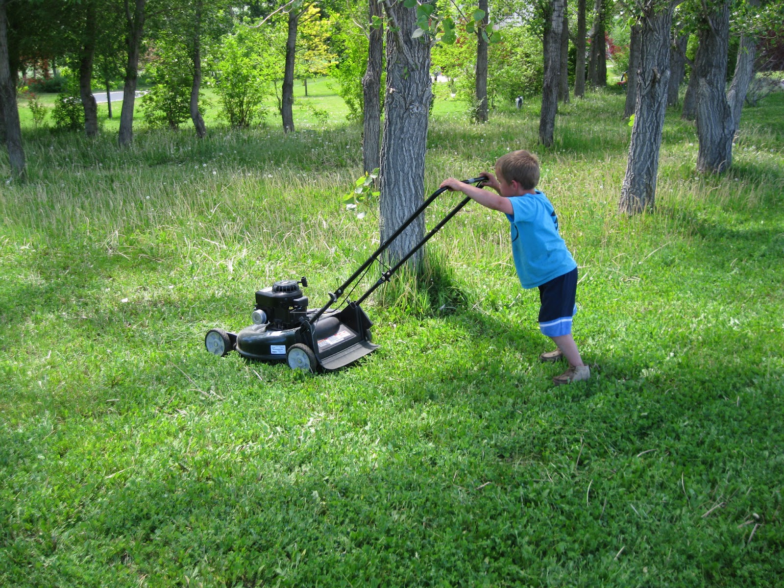Lawn Mowing