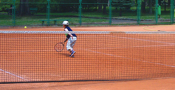 Lawn Tennis Court