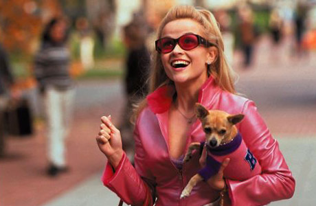 Legally Blonde The Musical London Ireland Lyrics
