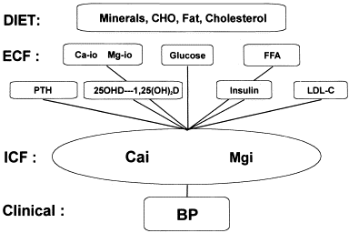 Lifestyle Factors Affecting Blood Pressure