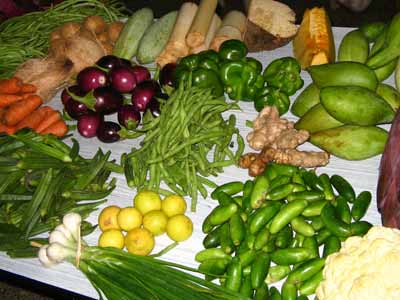 List Of Vegetables Name