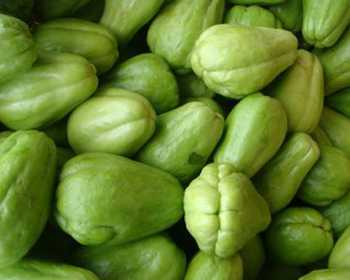 List Of Vegetables Name With Pictures