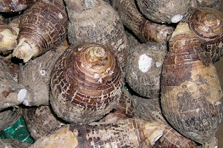 List Of Vegetables Names In English With Pictures