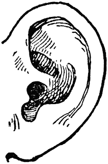 Listening Ear Clip Art