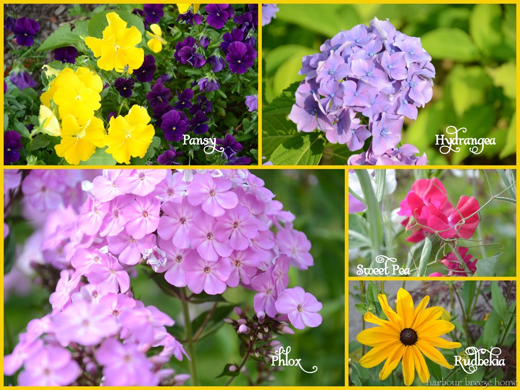 Lists Of Names Of Flowers
