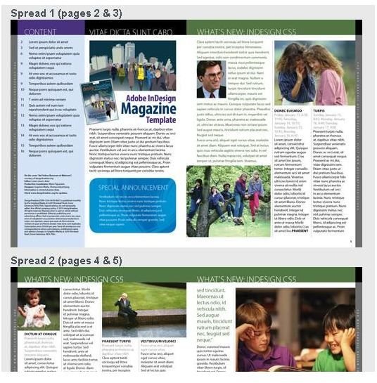 Magazine Layout Design Template