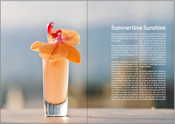 Magazine Layout Design Template