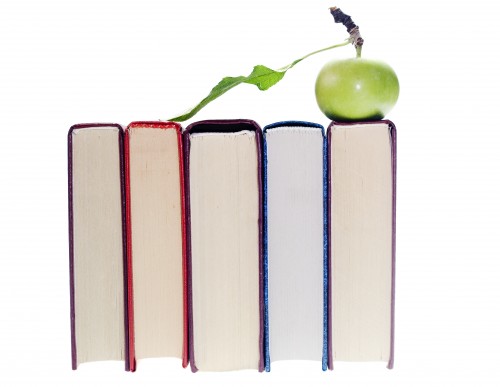Math Homework Help Online Free