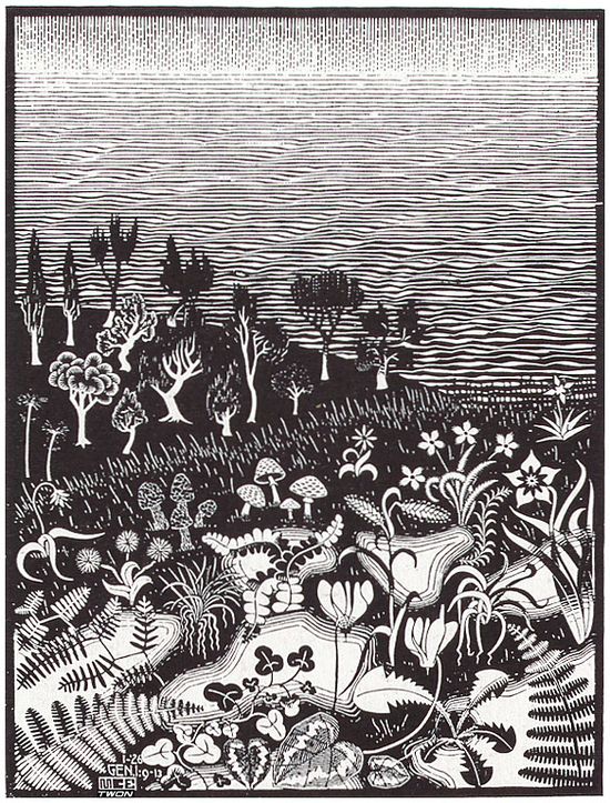Mc Escher Art Lessons