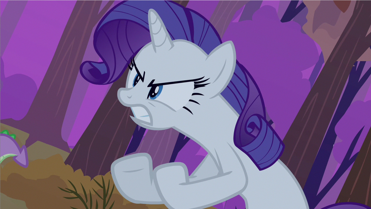 My Little Pony Friendship Is Magic Rarity