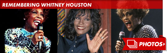 My Love Is Your Love Whitney Lyrics