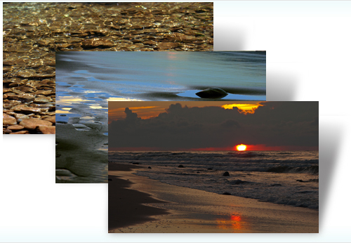 Nature Themes For Windows 7 Free Download