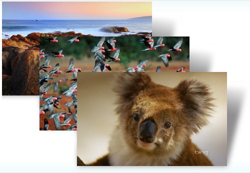 Nature Themes For Windows 7 Free Download