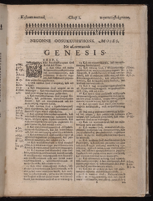 New American Bible Online Text