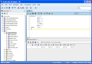 Null Or Empty Vs Null Or Whitespace