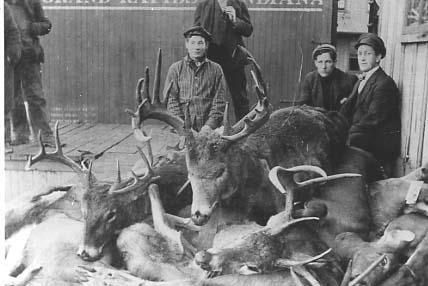 Old Deer Hunting Pictures