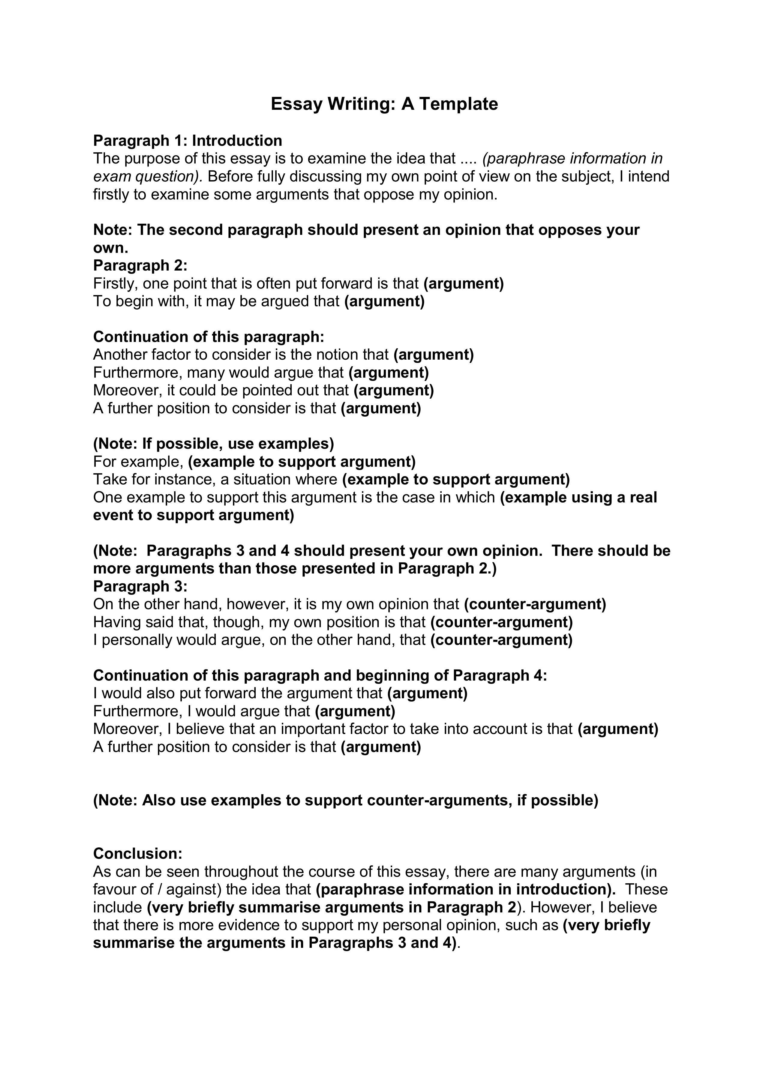 Opinion Essay