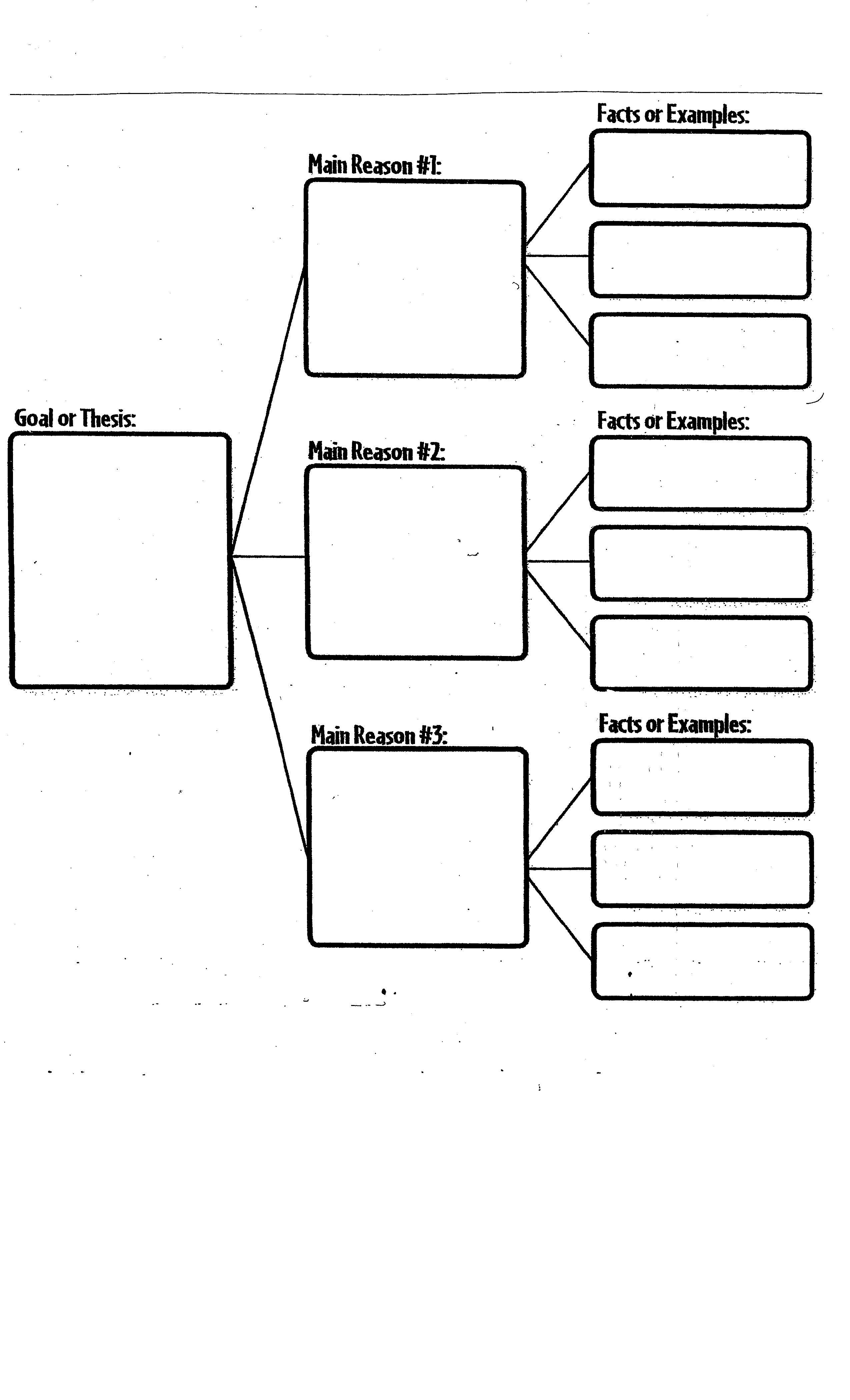 Opinion Essay