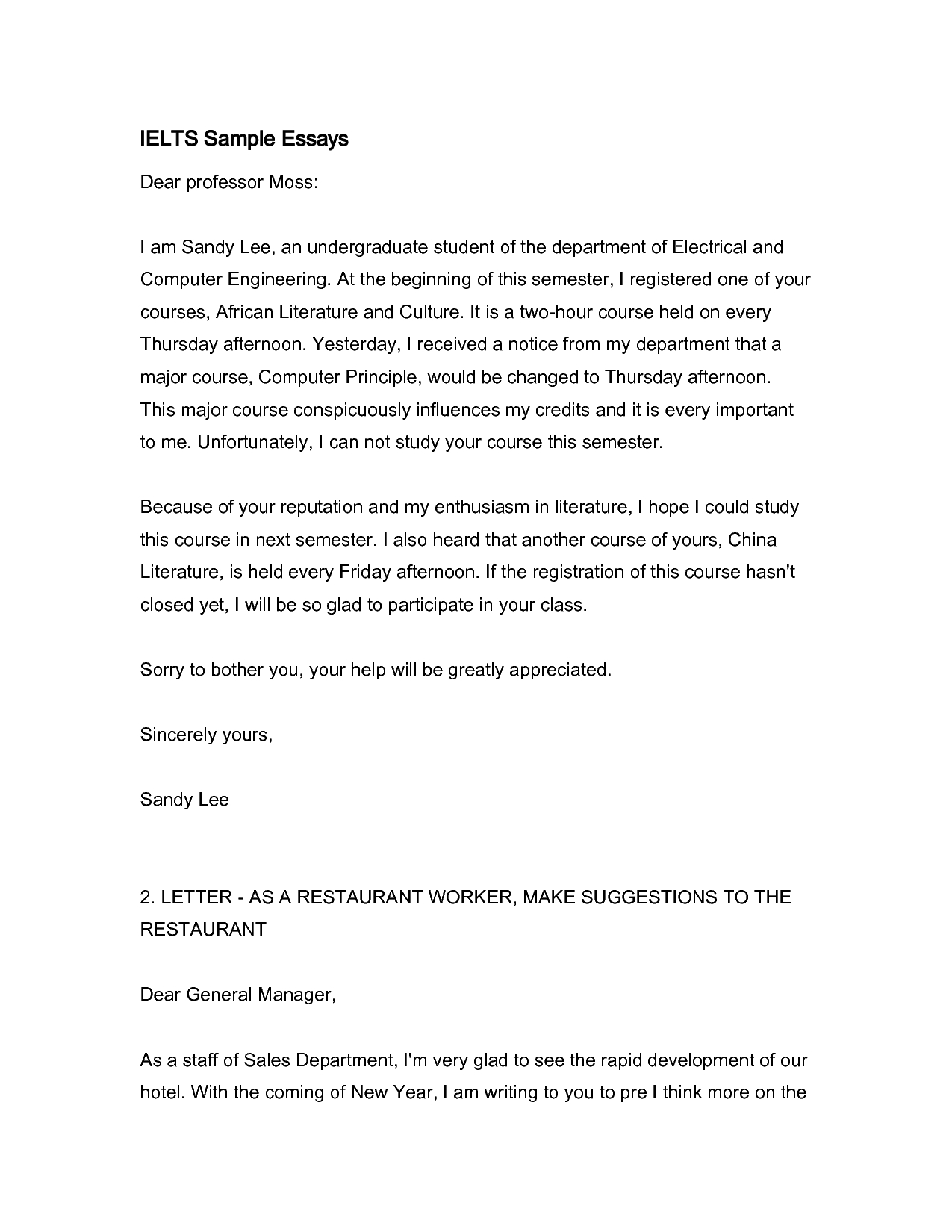Opinion Essay Example