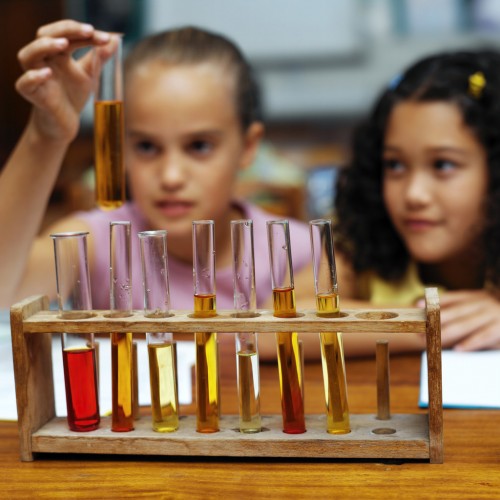 Opinion Essay Examples Elementary