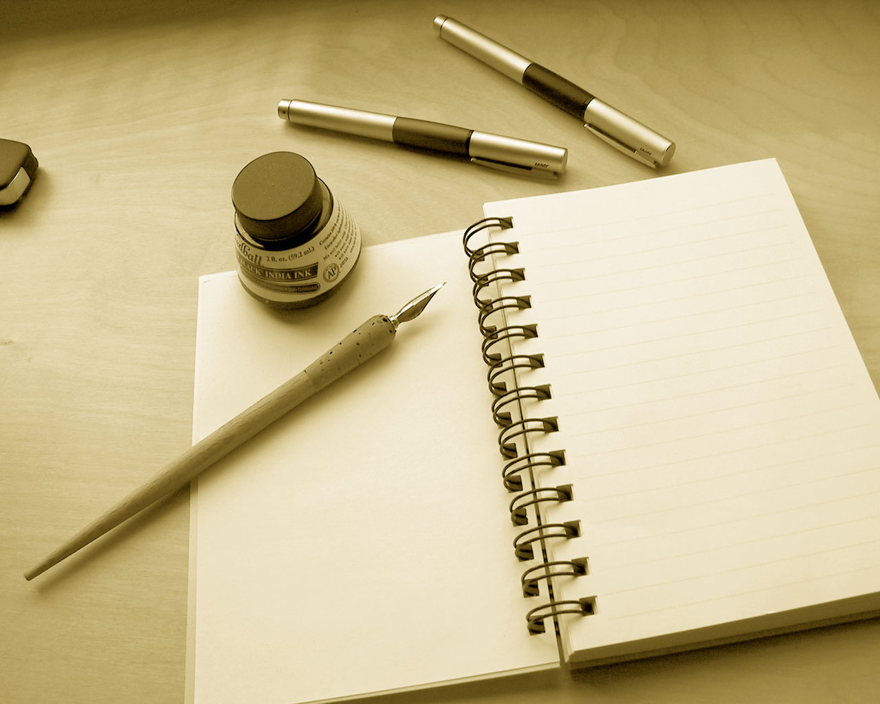 Opinion Essay Examples Elementary