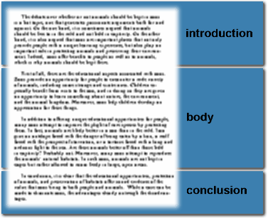 Opinion Essay Structure