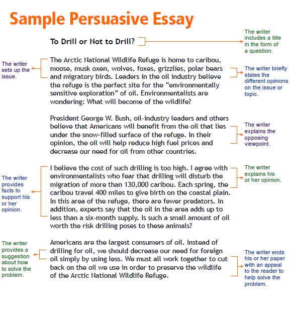 Opinion Essay Structure