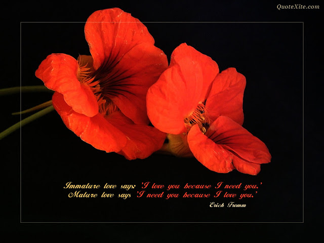 Phone Wallpapers Love Quotes