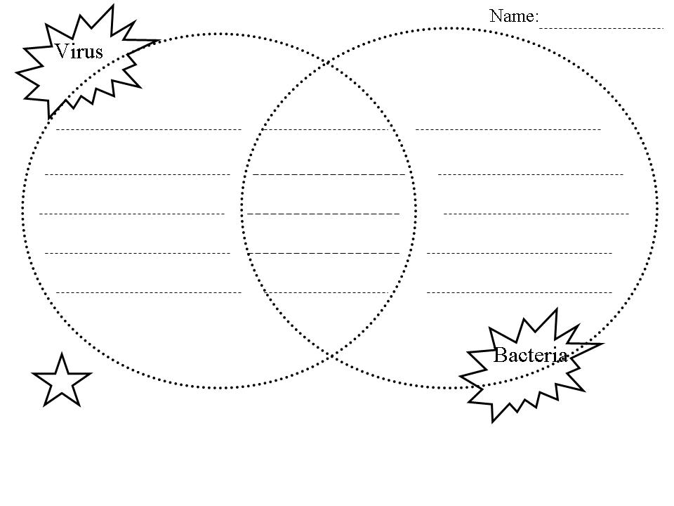 Photosynthesis And Cellular Respiration Venn Diagram
