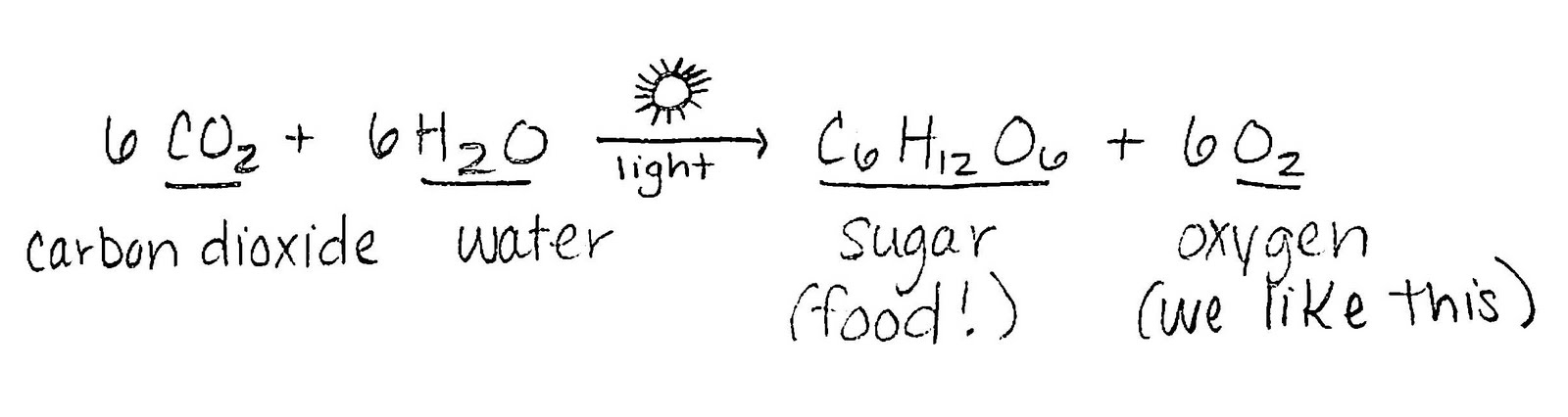 Photosynthesis Equation