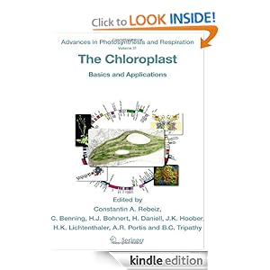 Photosynthesis For Kids Video