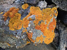 Physical Weathering Of Rocks