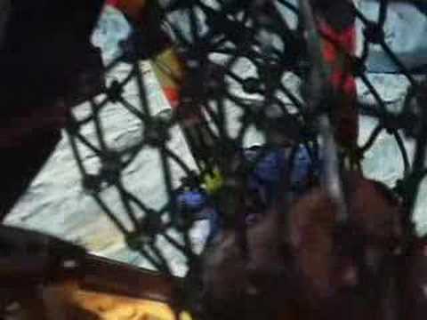 Pirates Of The Caribbean Kraken Attack